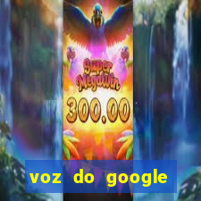 voz do google tradutor homem