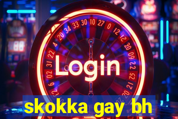 skokka gay bh