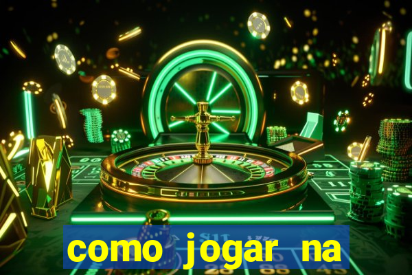 como jogar na lotinha do jogo do bicho