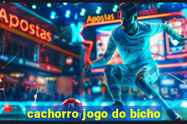 cachorro jogo do bicho