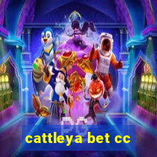 cattleya bet cc